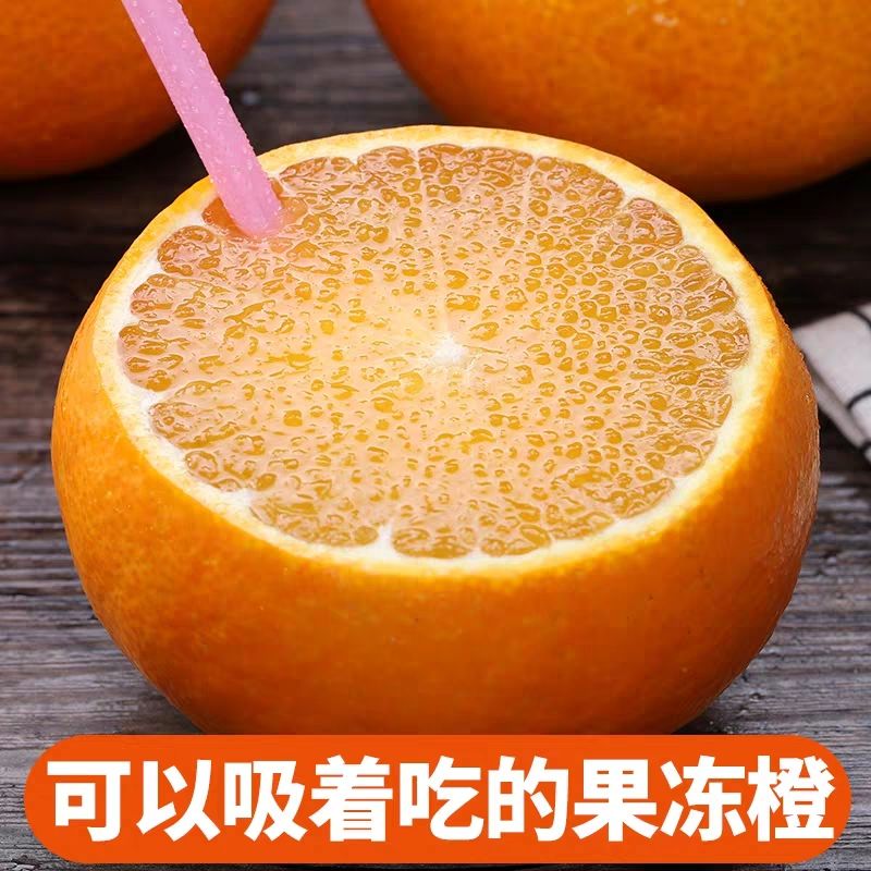 眉山愛媛橙  現摘現發新鮮水果四川特產愛媛38號柑橘果凍橙