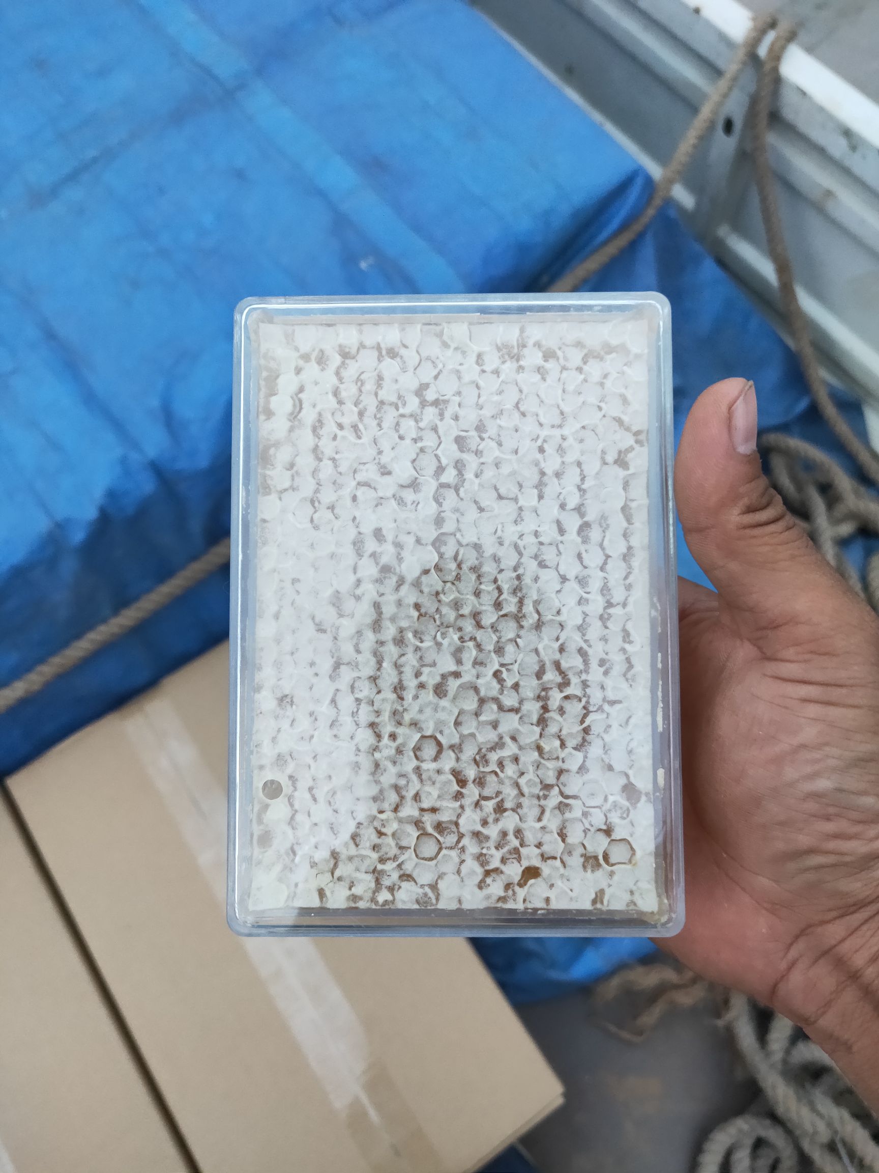 蜂巢蜜 塑料瓶装 2年以上 