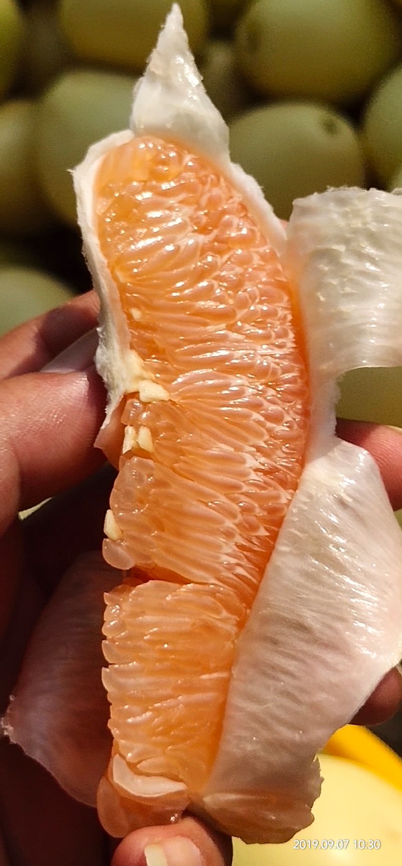 黄金柚 黄金蜜柚