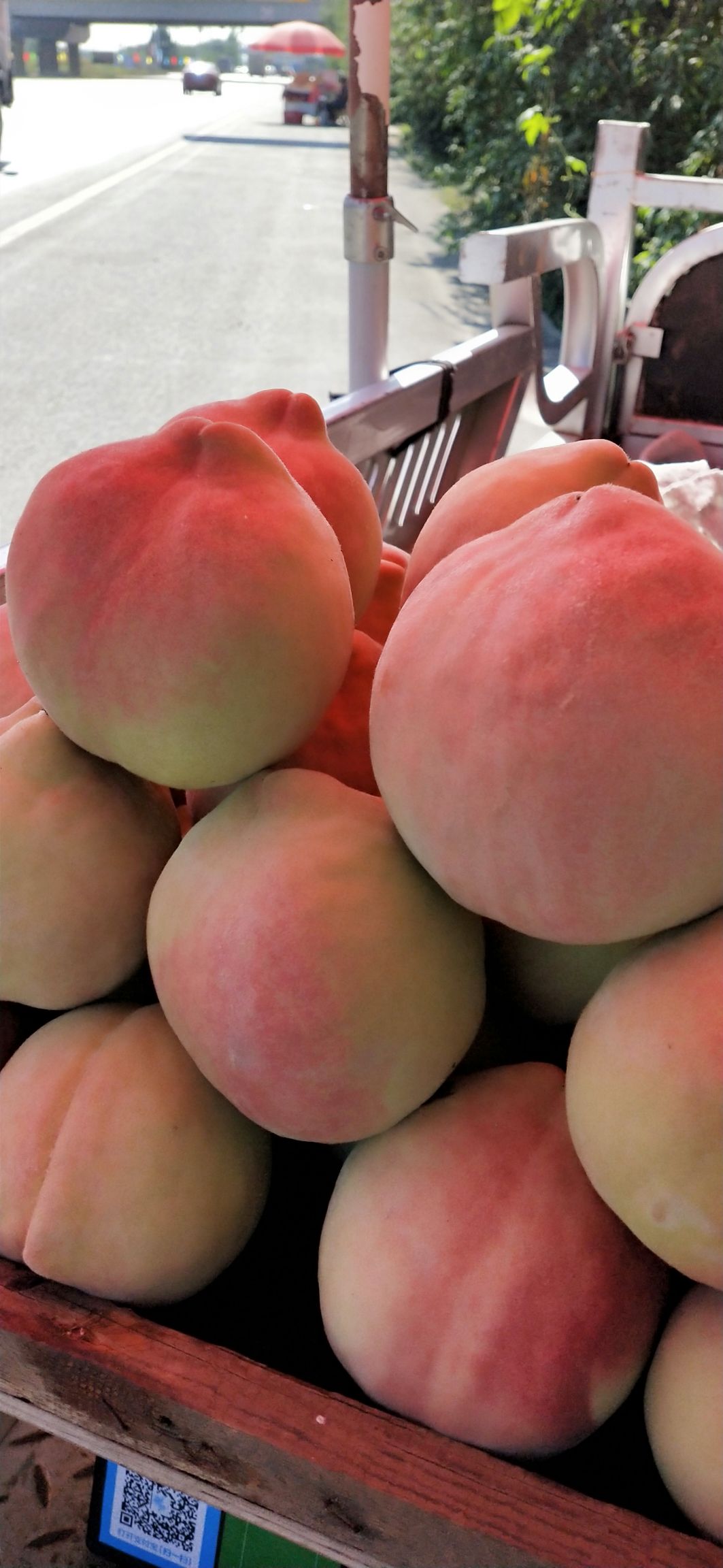  中华寿桃个头大口味甜