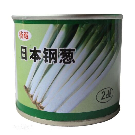 菏泽 日本钢葱种子铁杆大葱白硬白实