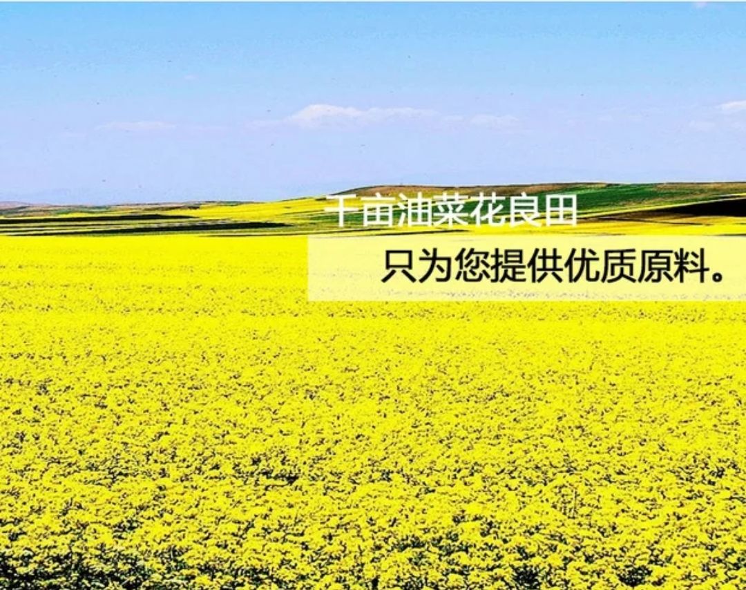 油茶花粉  蜂花粉油菜純粉天然食用花粉新鲜干燥质量保证