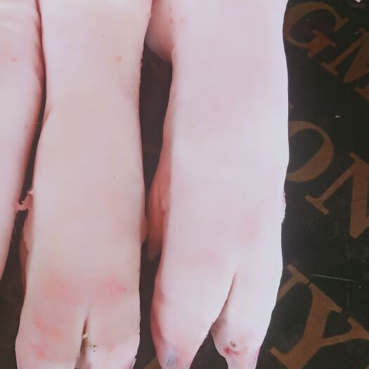 宁波猪肉类 价格优惠