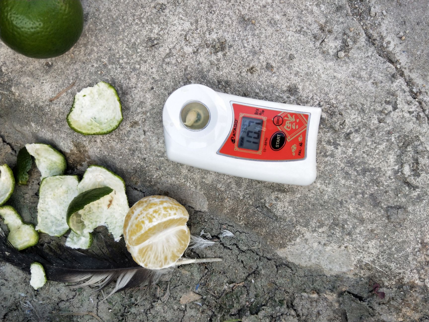 皇帝柑，对接社区团购，整车落地对接，