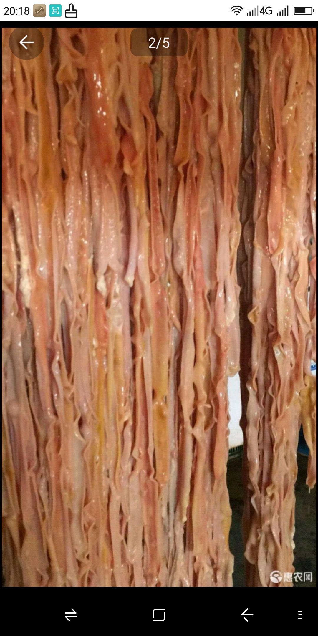  批发鹅肠，批发鹅产品，批发黑棕鹅，批发东北鹅肠，批发九尺鹅