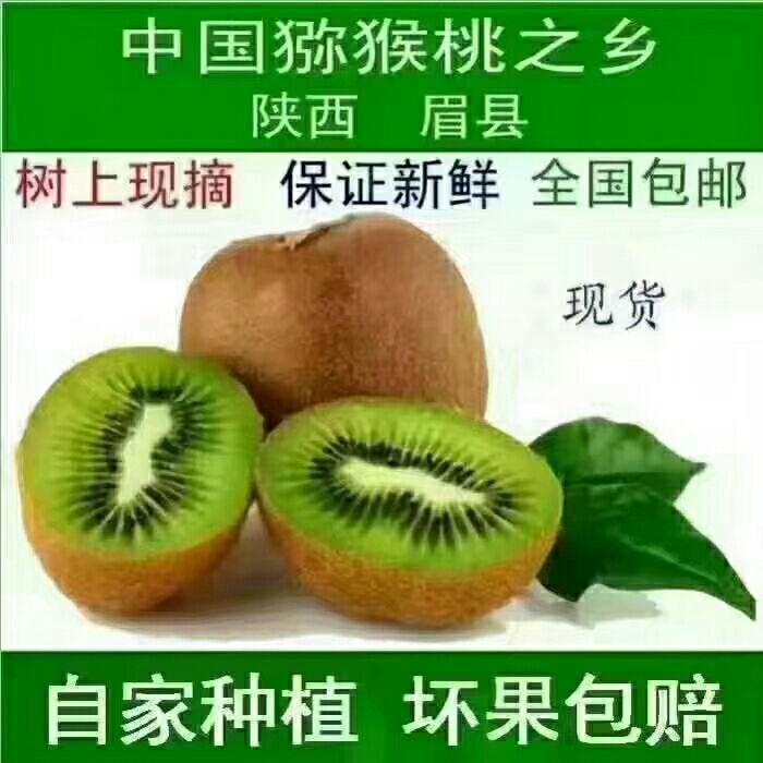 徐香猕猴桃 无公害绿色食品