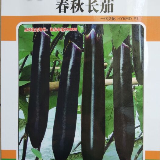 绵阳 茄子种子（春秋长茄）