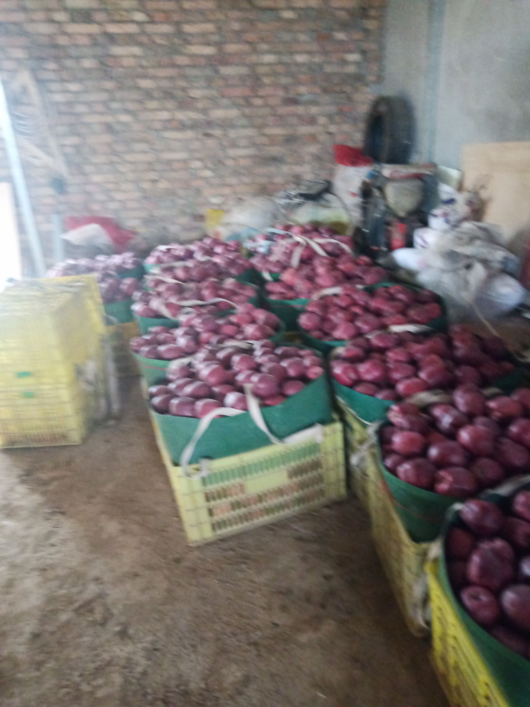  甘肃省天水市秦安县，花牛苹果现货10万斤，