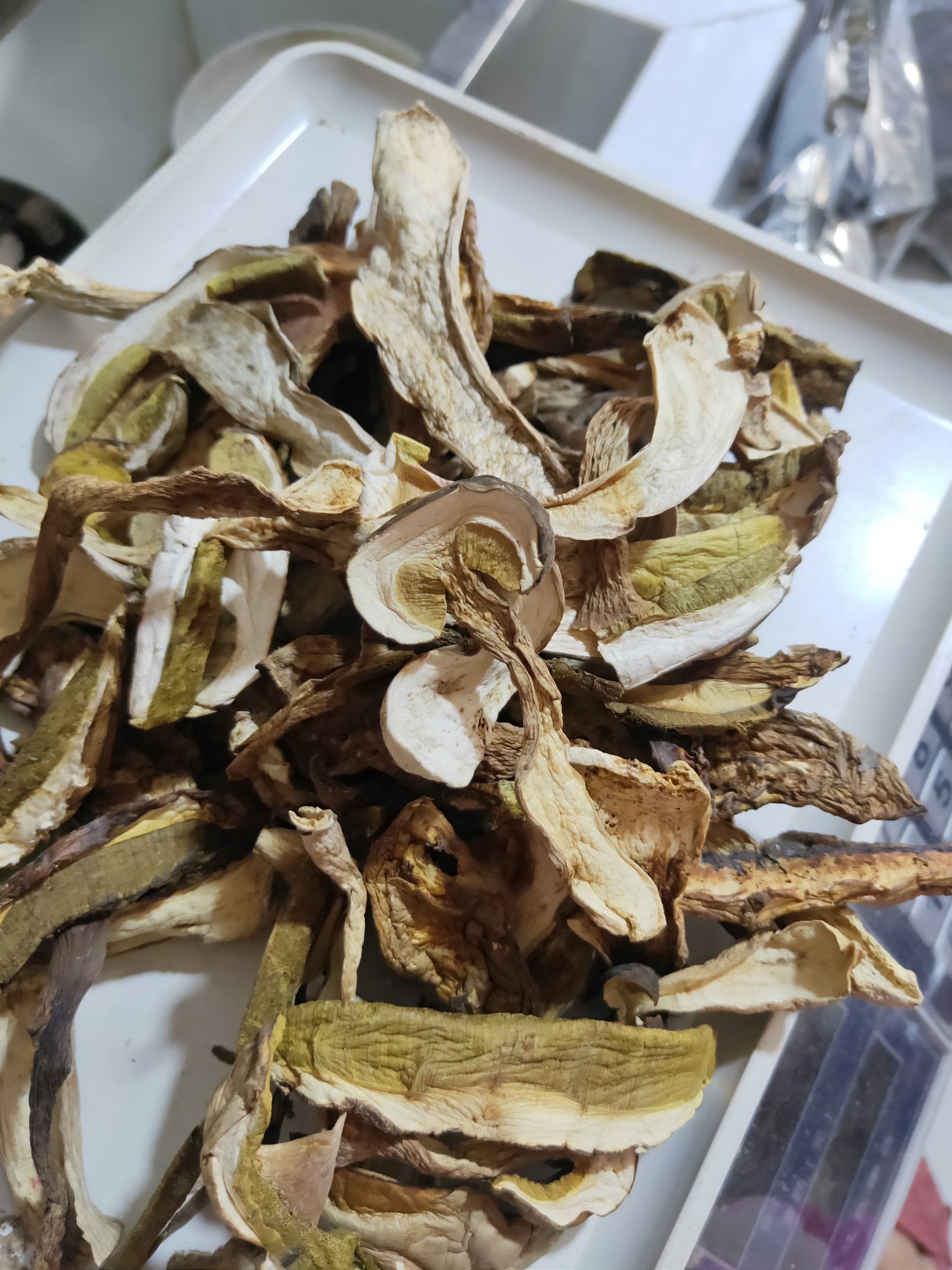 美味牛肝菌、白牛肝（羊肝菌）