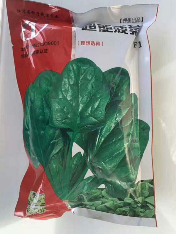  理想超能菠菜圆叶菠菜种子叶片大而肥厚高产耐寒耐热耐抽苔