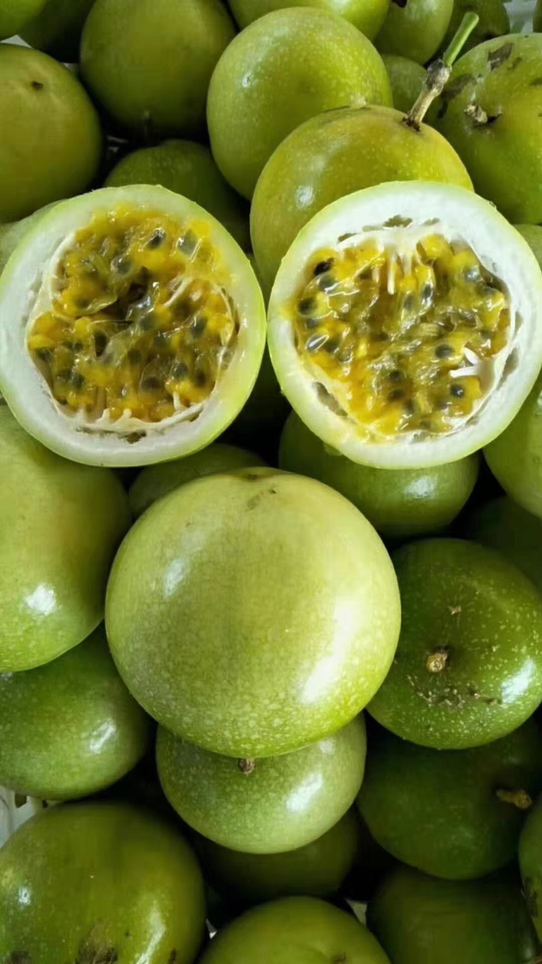  桂林高山黄金百香果 芭乐味