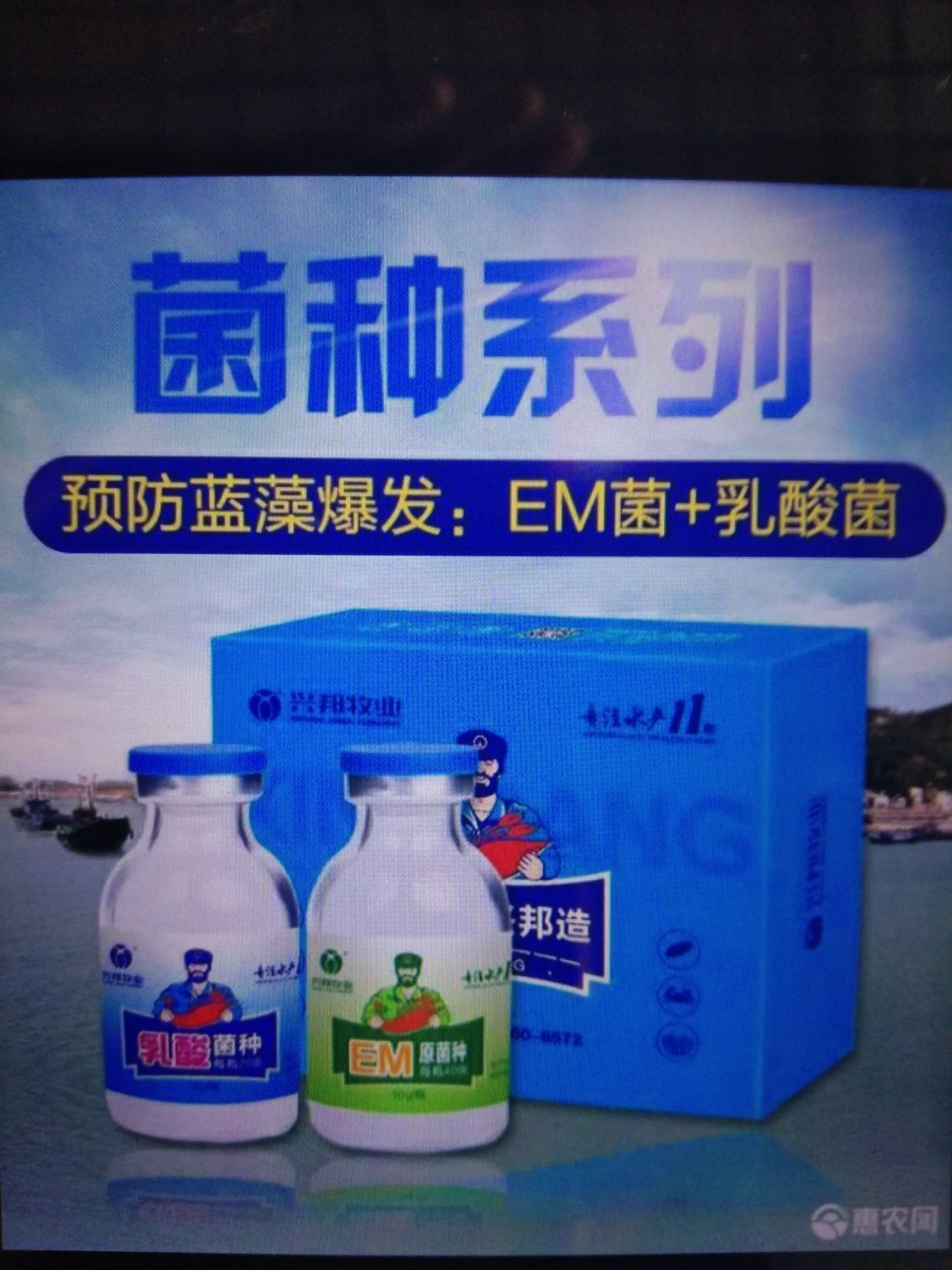  水产EM菌培养基  预防蓝藻爆发