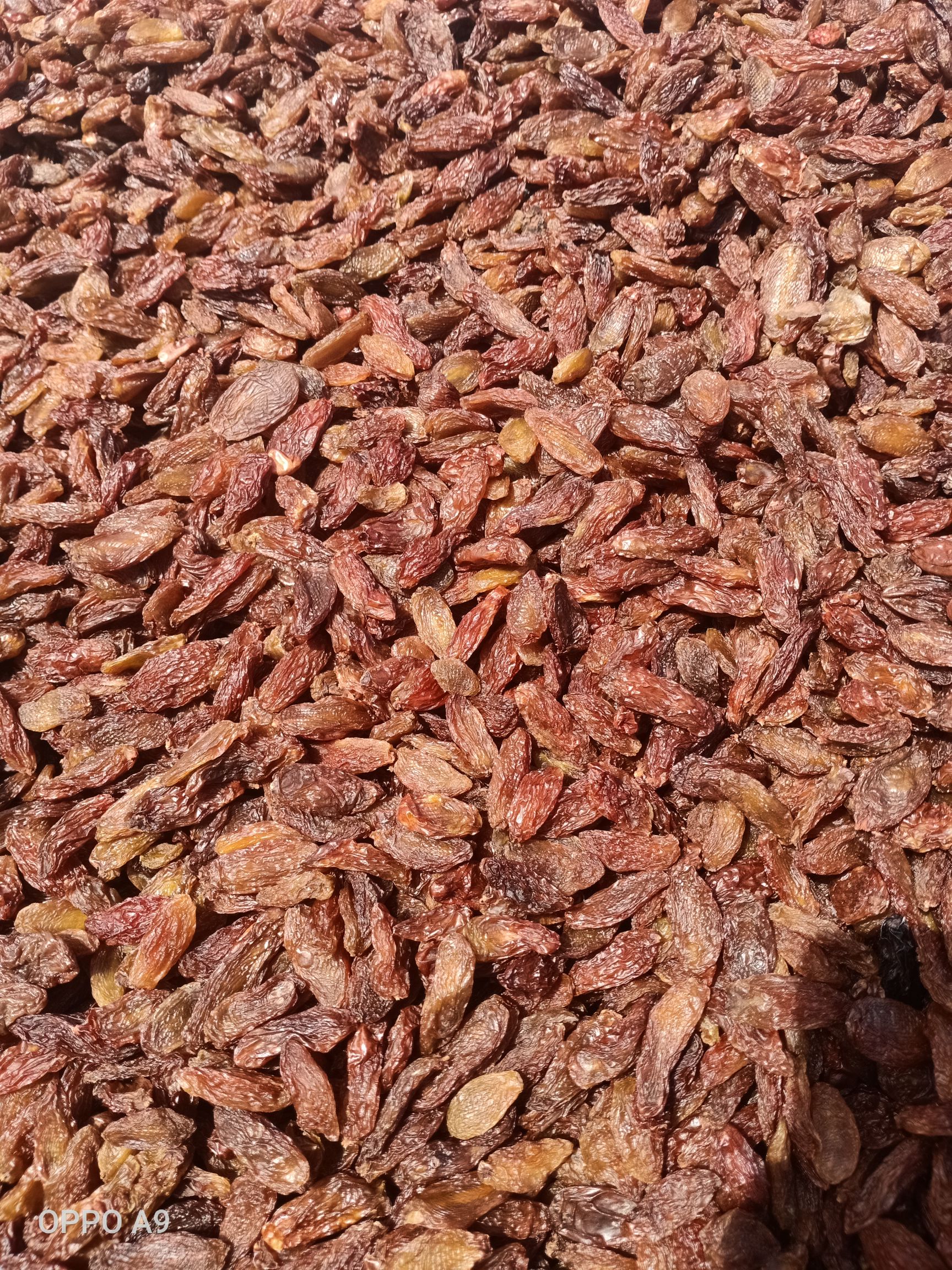  红香妃葡萄干，颗粒大肉饱满！！！