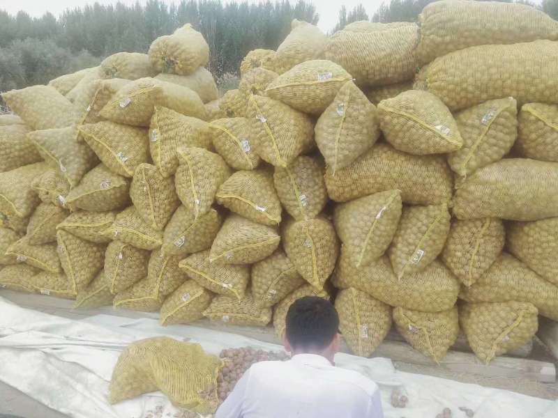  新疆阿克苏地区185核桃原产地发货！
