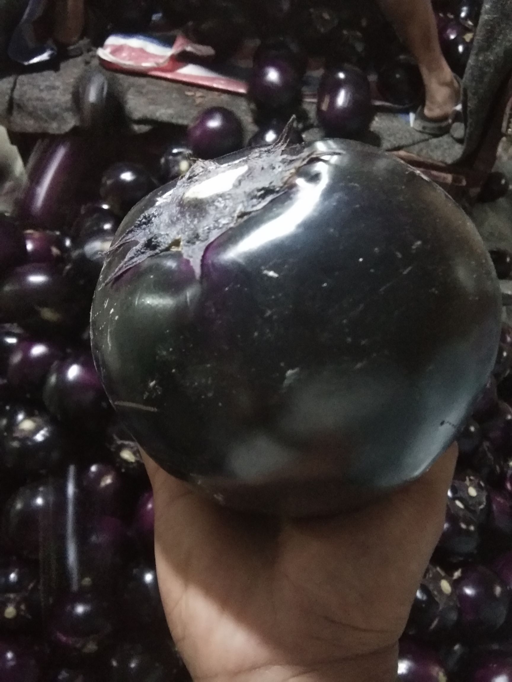 黑圆茄 混装通货 圆茄