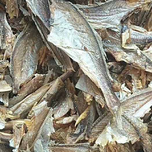 滨州冰冻小黄鱼 烘干黄花