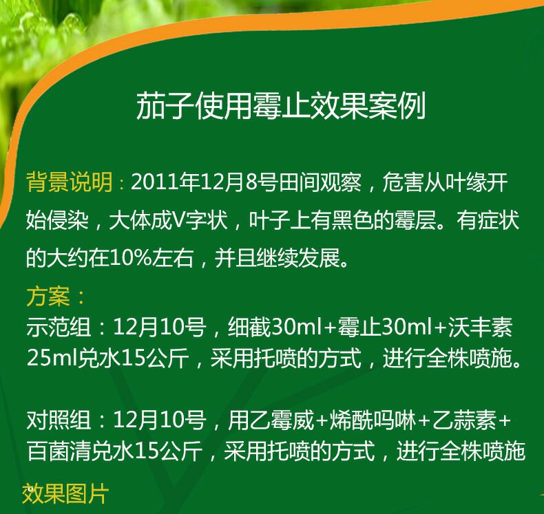  霉止 番茄辣椒灰霉病叶霉病等病害专用