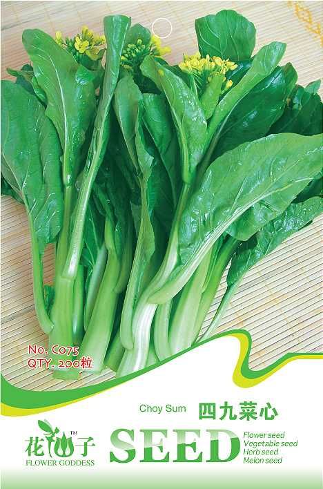 黄心白菜种子 四季播蔬菜种子草莓辣椒番茄白菜黄瓜香菜籽娃娃菜阳台蔬果种等