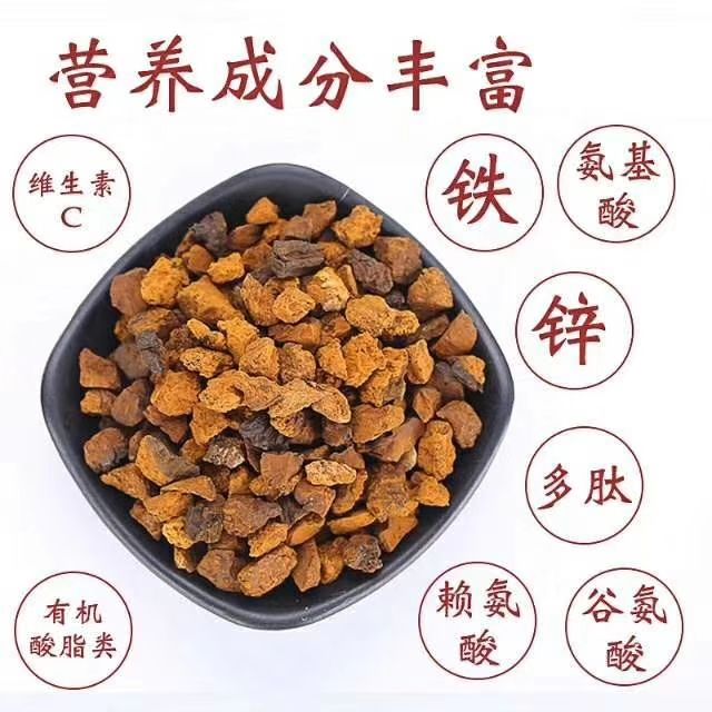 白桦茸  长白山【桦树茸黑精颗粒】是普通桦树茸的三倍