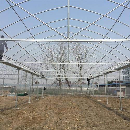 种植大棚 大棚钢管
