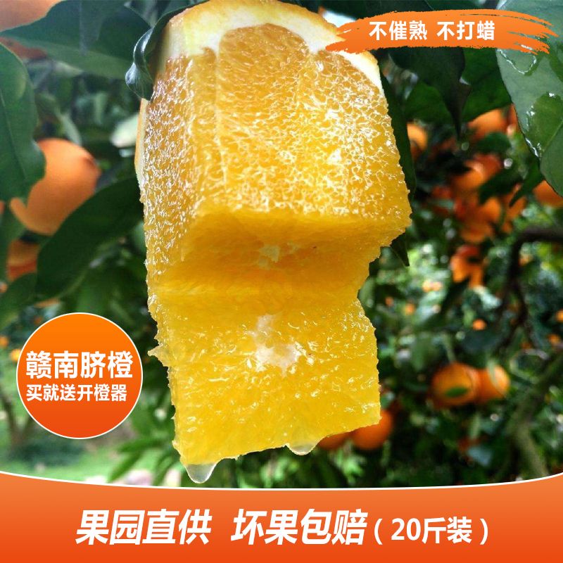 赣南脐橙 诚招合作伙伴 一件代发