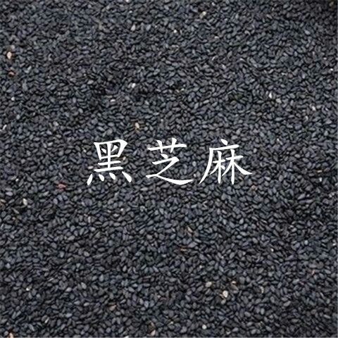  八宝粉五谷粉黑芝麻糊精细研磨一件包邮