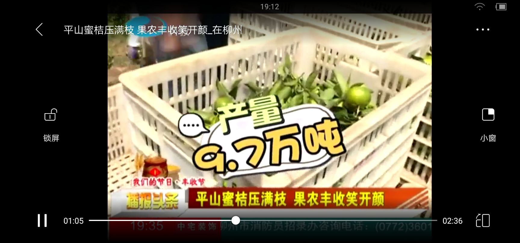 贡桔 南丰蜜橘