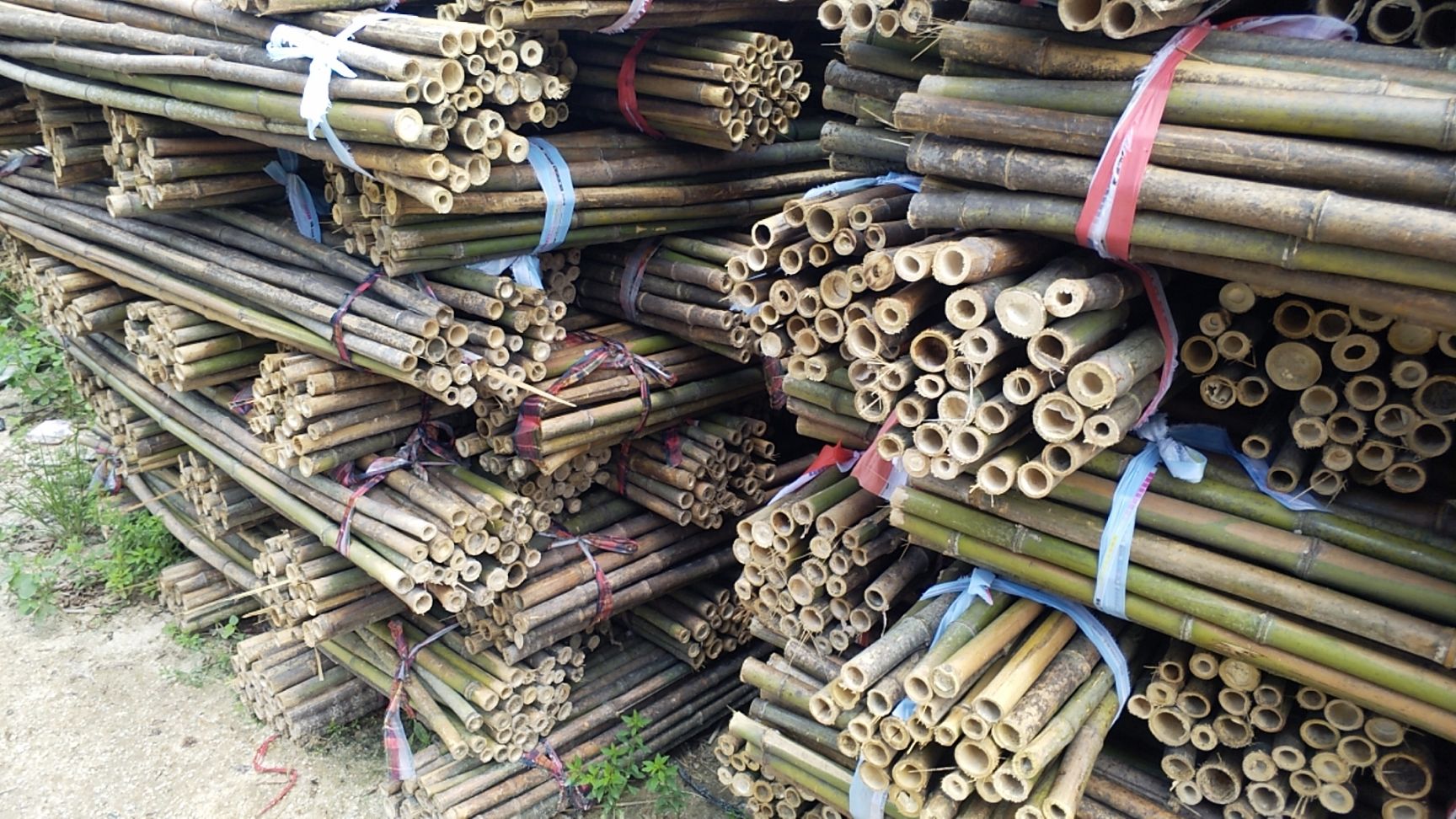 竹竿 产地绿化竿各种树木支撑杆菜架竿烘干机竿