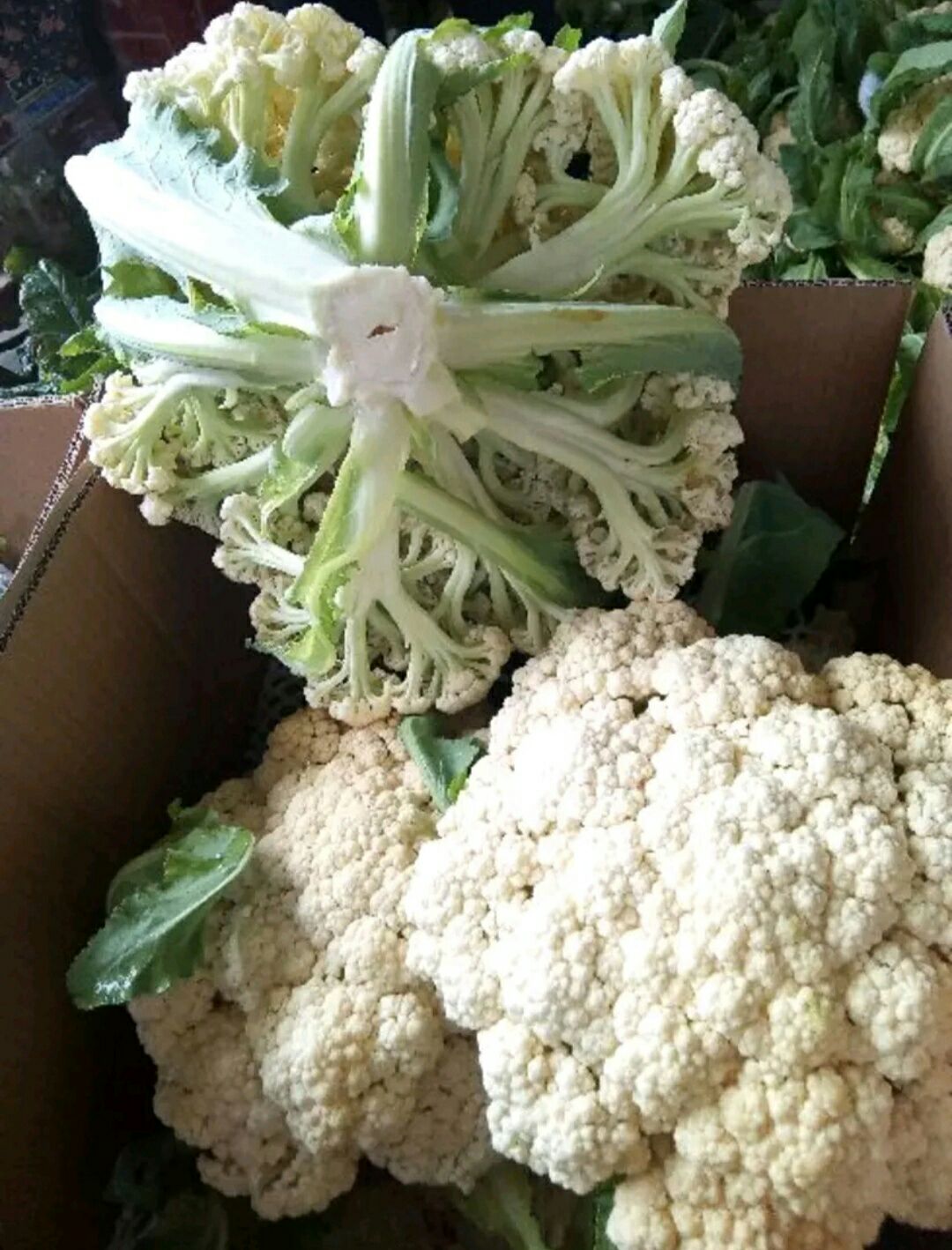 花菜，松花漂亮，需要的联系