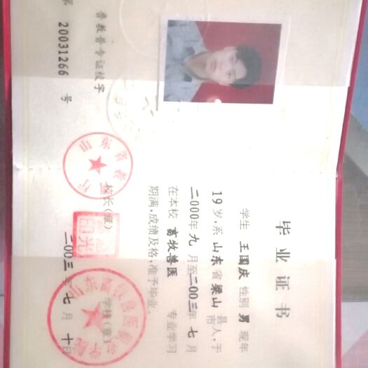 梁山县 小尾寒羊，杜泊羊，湖羊