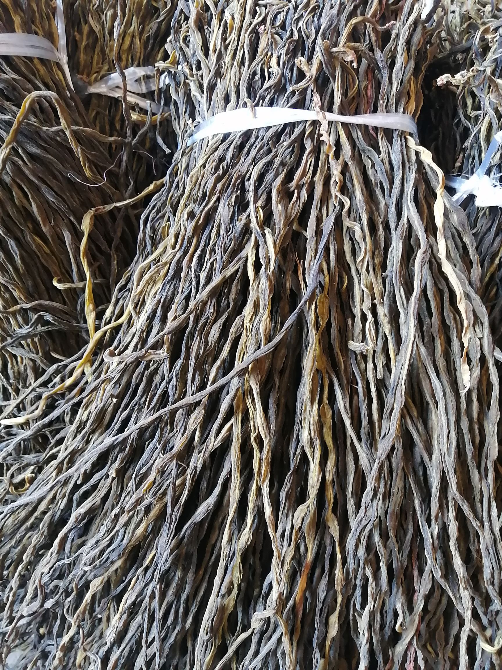  淡绿色干豆角，口感好，颜色好，天然