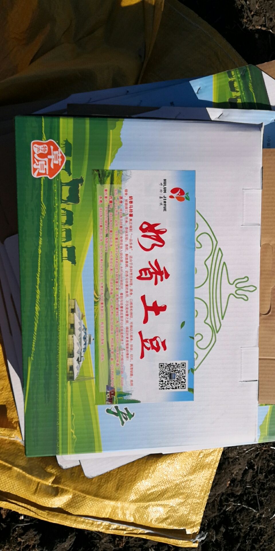 兴佳2号土豆 3两以上