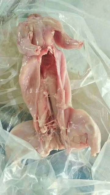 肉兔 批发兔肉，批发白条兔，批发兔腰