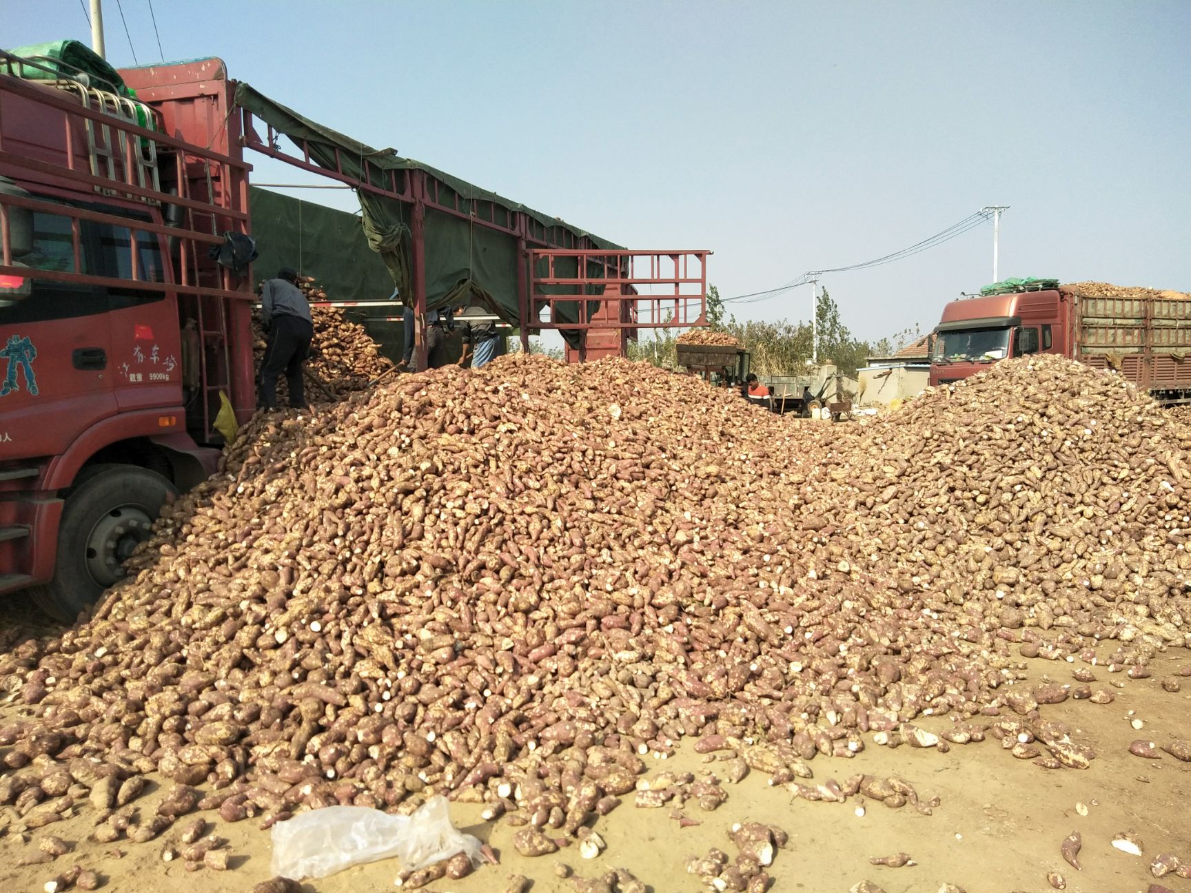  纯正红薯淀粉红薯粉红薯粉地瓜粉