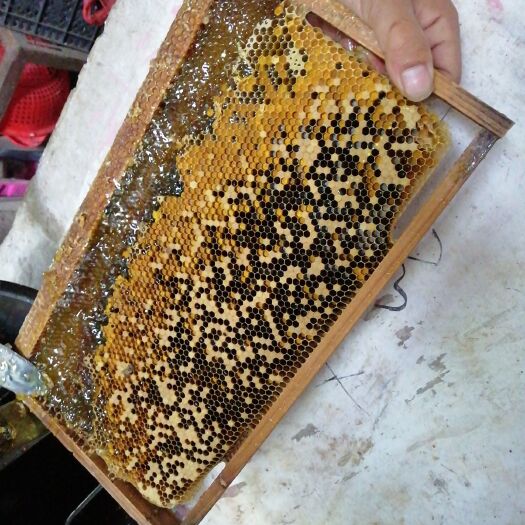 隆回县土蜂蜜 天晴蜜劳
