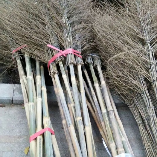 三都县竹扫把