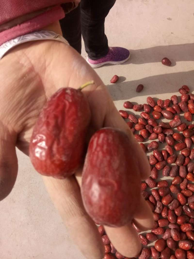 新疆大枣 一级
