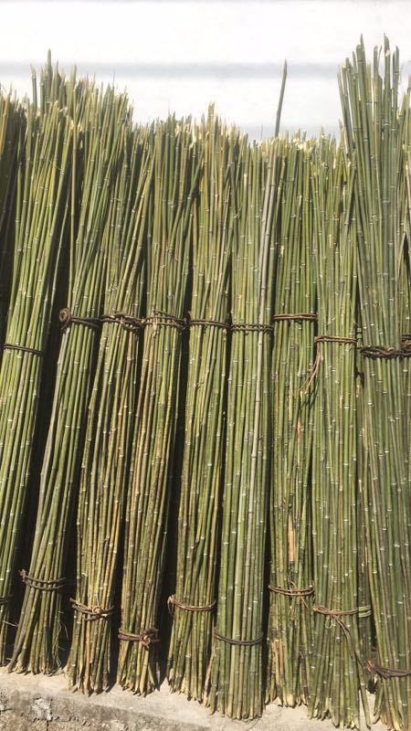  竹子，那个老板收购，可以联系我