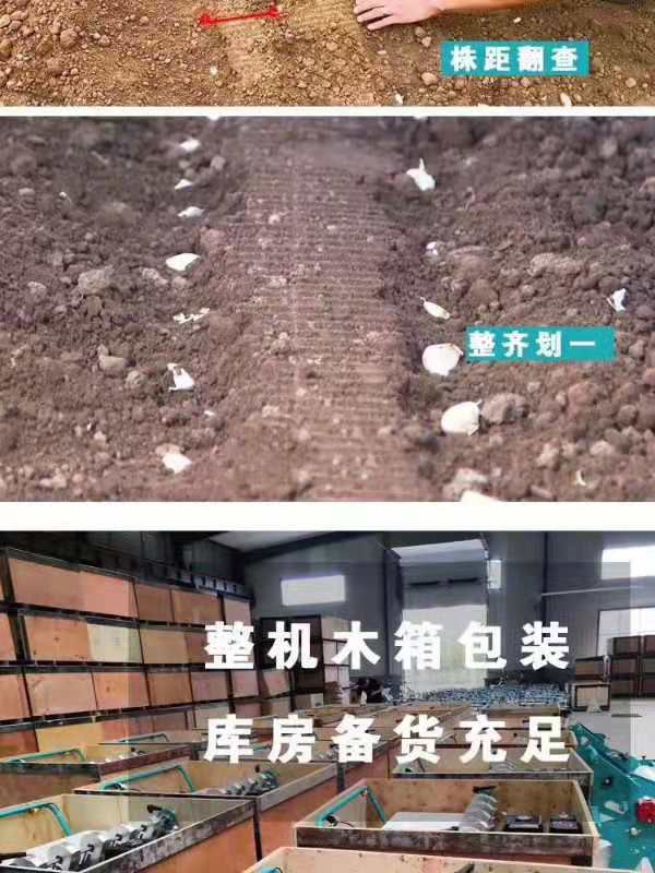 精准大蒜播种机。