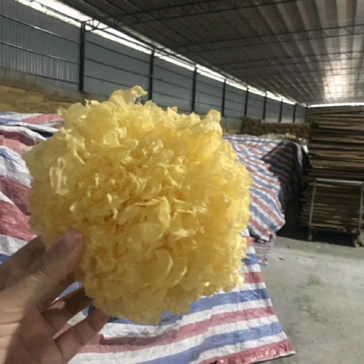 银耳，自产自销。