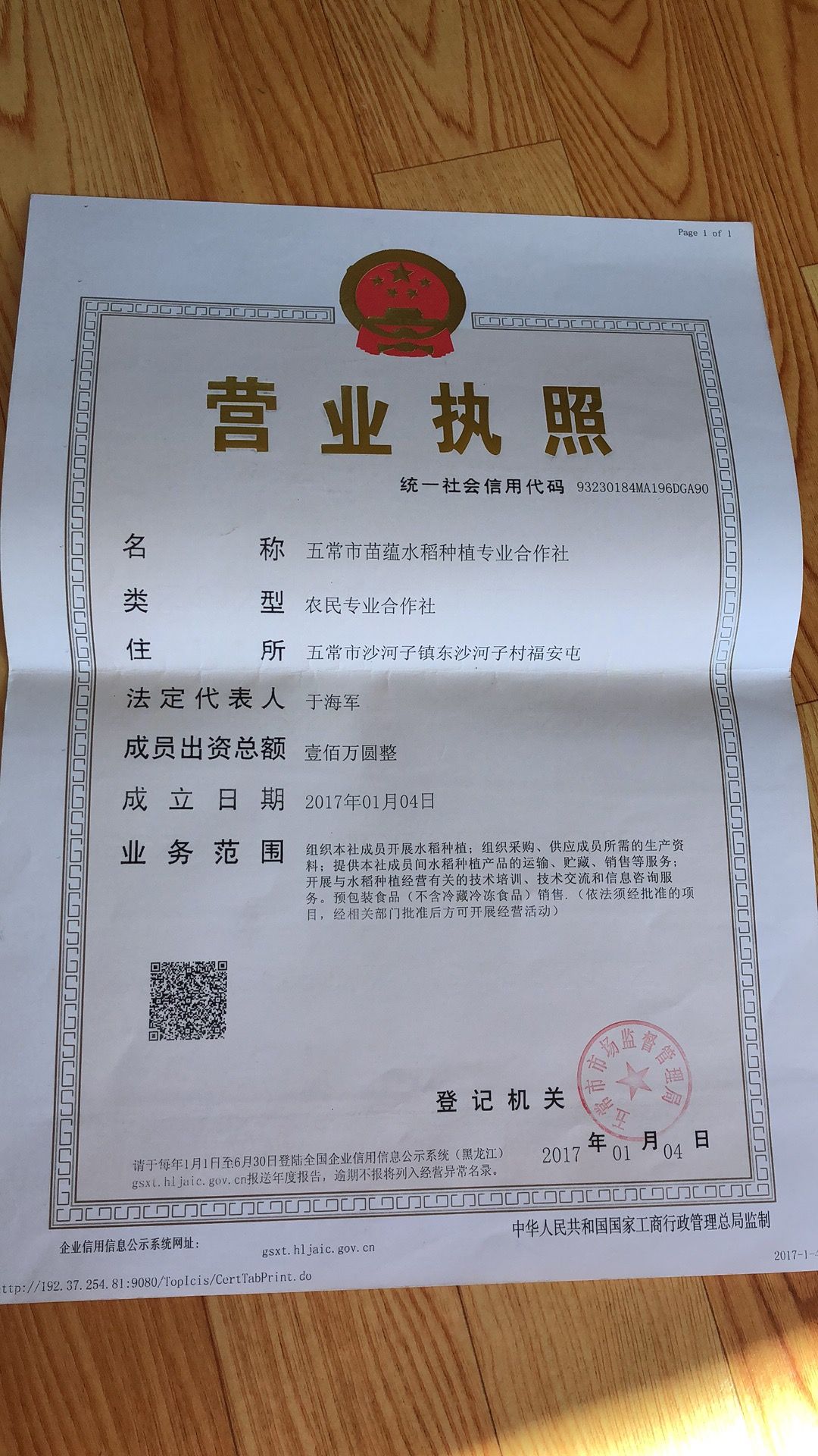 粳稻谷  五常稻花香 五个八米 稻谷接受预定自产自销