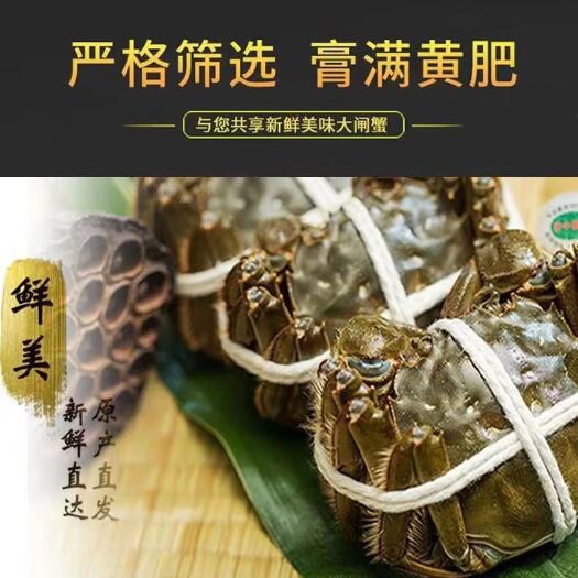 五河县 沱湖大闸蟹