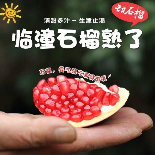  陕西特产新鲜水果石榴非突尼斯软籽甜石榴9枚10斤泡沫箱装