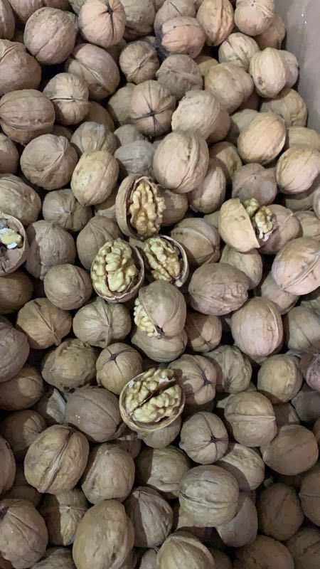 中牟县白核桃 40mm以上 去皮 箱装