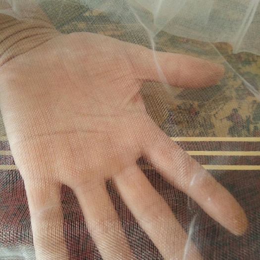 济南防虫网  100目