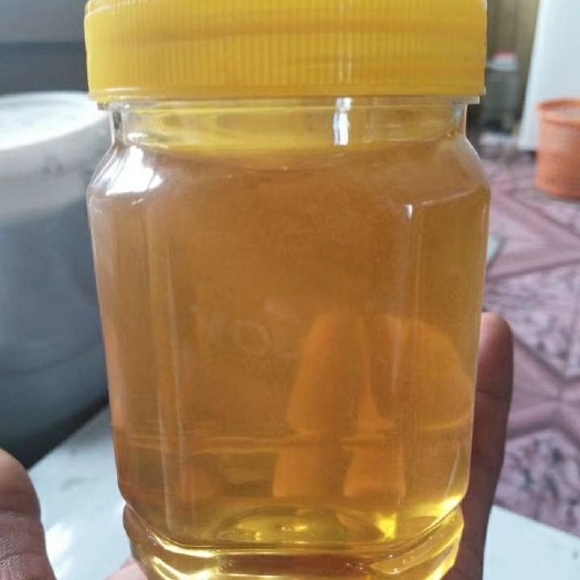 伊春 小兴安岭椴树蜜