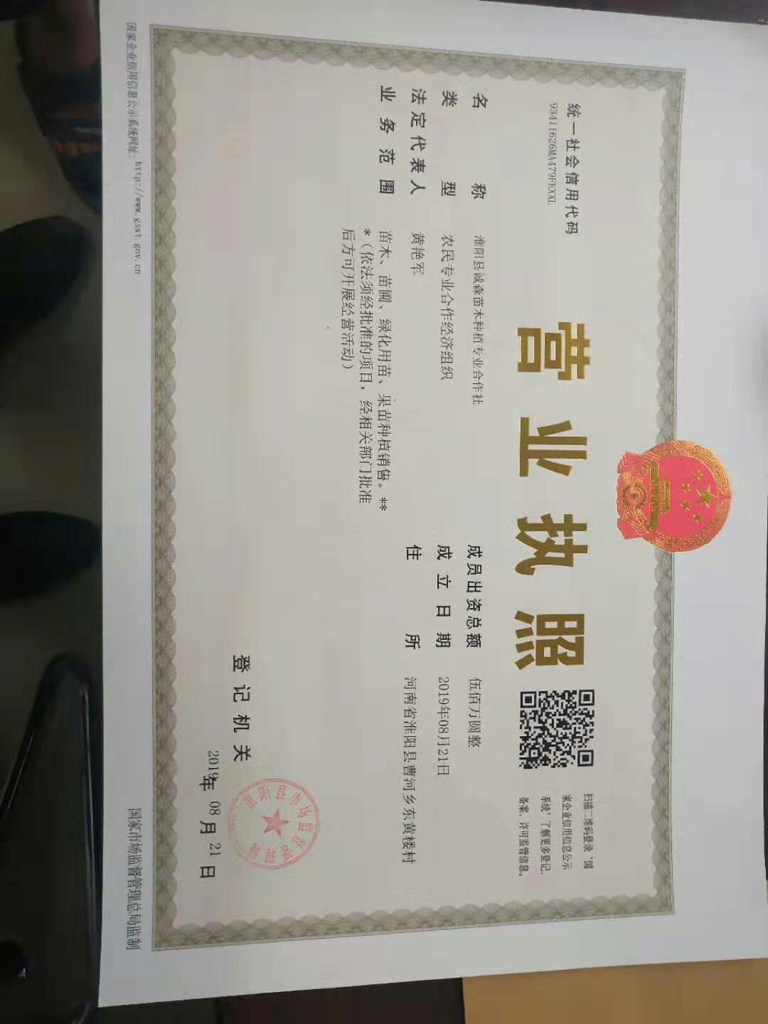  楸树种子。品质保证，，