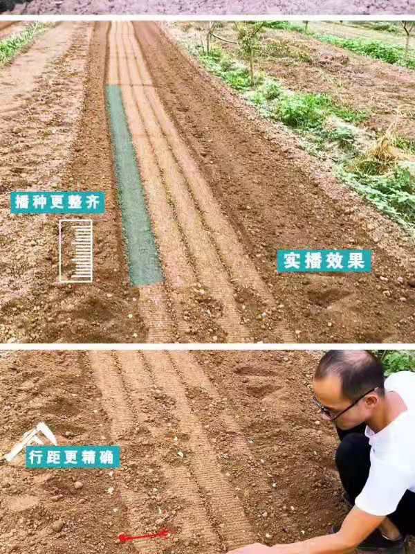 精准大蒜播种机。