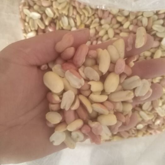 杞县花生米 油料花生米 磨酱米 无霉子 无坏子 大量供应 口感好