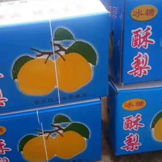 原平市 原平酥梨基地批发